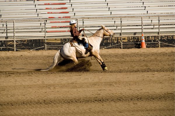 Westernreiten: Sliding Stop