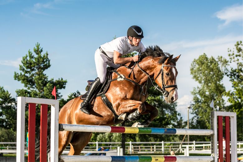 Springreiten in Klassen – das sind die unterschiedlichen Anforderungen