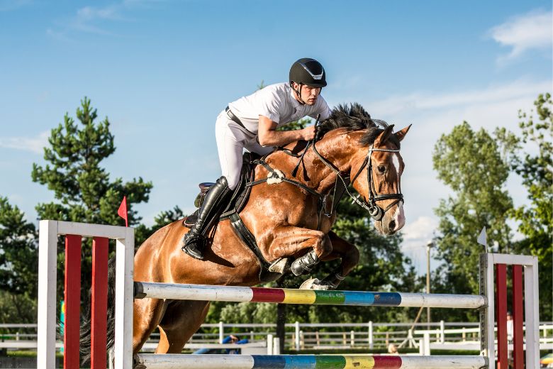 Springreiten In Klassen I Ehorses Magazin Springreiten In Klassen I Ehorses Magazin