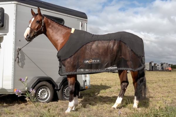 Therapiedecke für das Pferd: Pferd steht auf Turnier neben Hänger