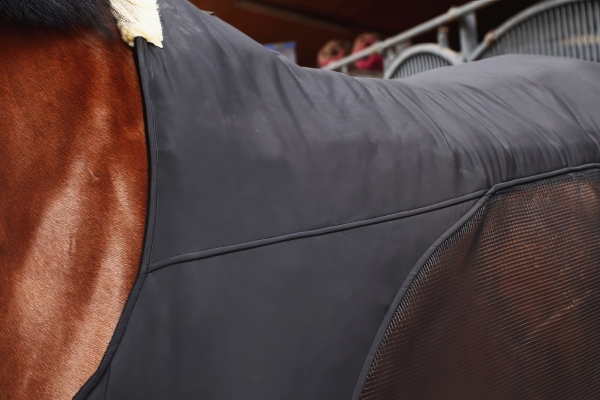 Therapiedecke für das Pferd: Gravity-B Modell