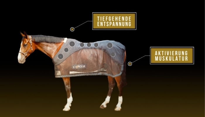 Therapiedecke für das Pferd