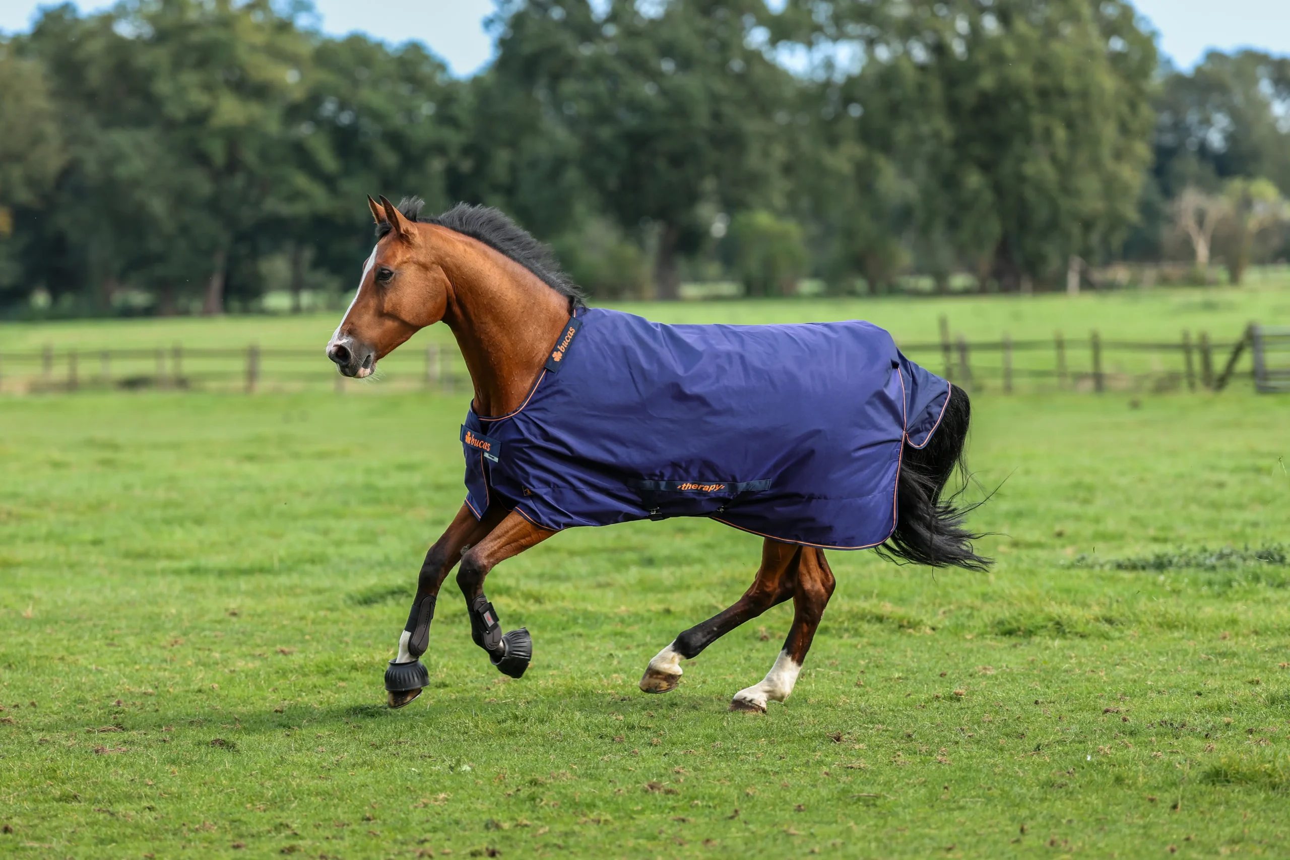 Bucas Therapy Turnout Pferdedecke