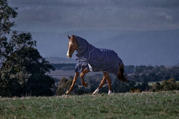 Thermoregulation beim Pferd: Decken von Weatherbeeta