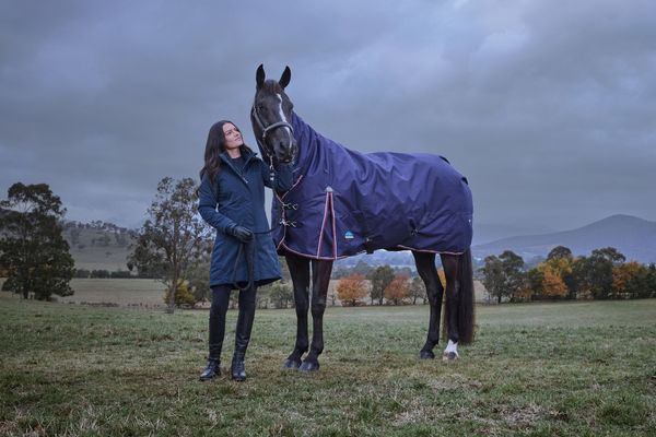 Thermoregulation beim Pferd: Decken von Weatherbeeta