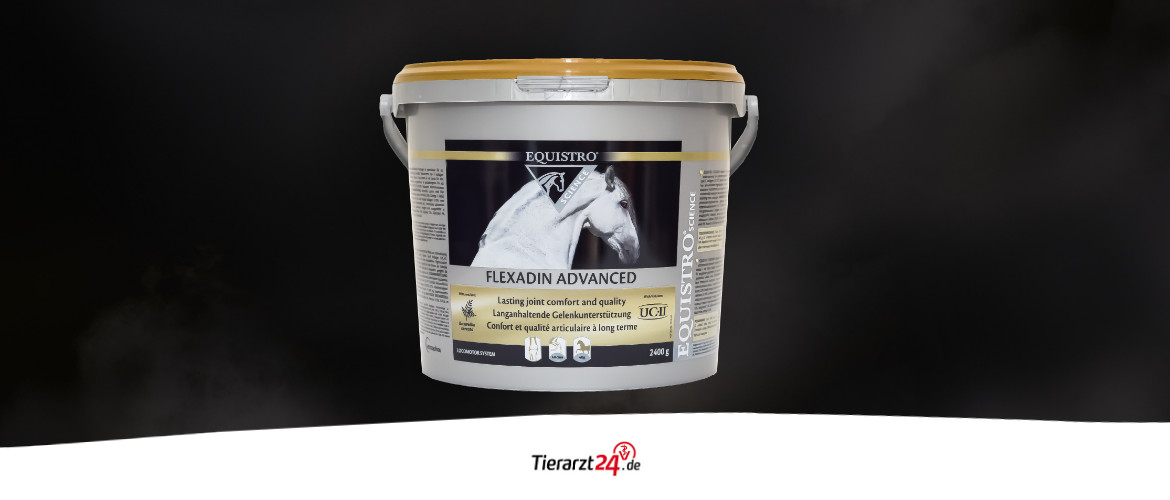 Aktuell im Test: Das EQUISTRO® FLEXADIN ADVANCED