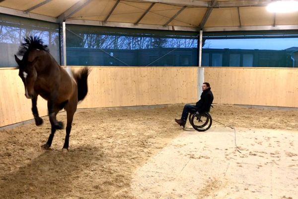 Timo Ameruoso: Beim Training im Roundpen