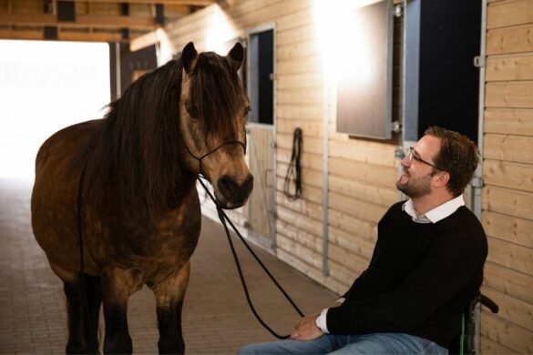 Be Strict Denken Wie Ein Pferd Richtig Ausbilden Konsequent Korrigieren www.ehorses.de