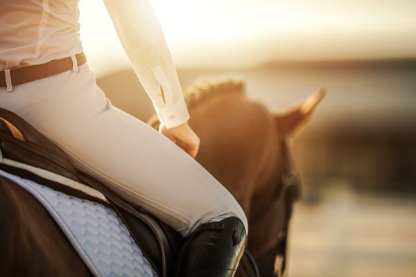 Trainerschein Reiten. Reiterin auf Pferd im Sonnenuntergang.