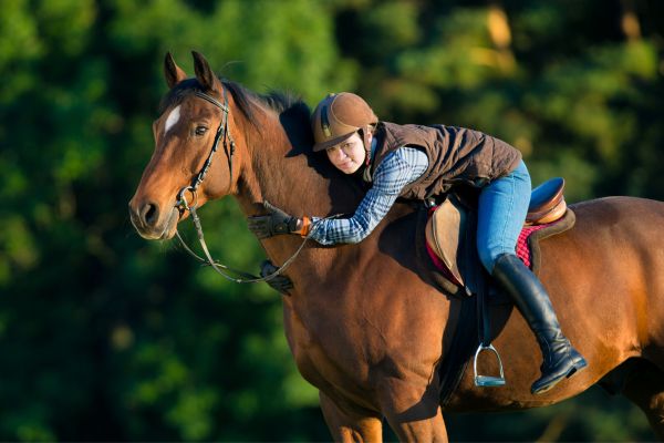 Trainerschein Reiten: Reiterin liegt auf Pferd