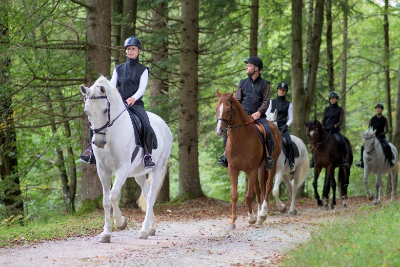 Trainerschein beim Reiten – diese gibt es!