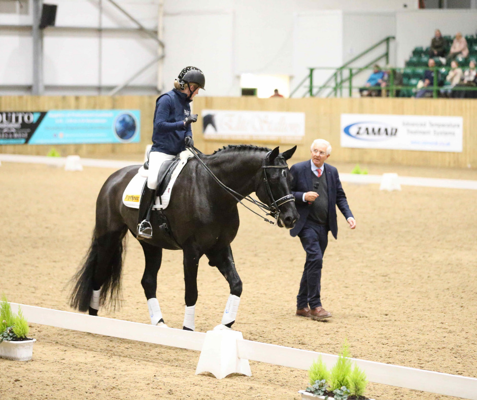 Find your perfect (Horse-)Match – Kaufberatung mit Christoph Hess