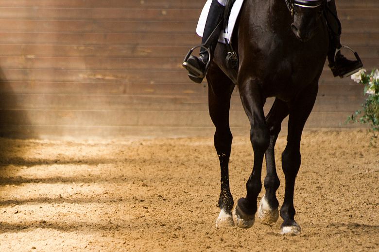 Traversale reiten – So geht es richtig!