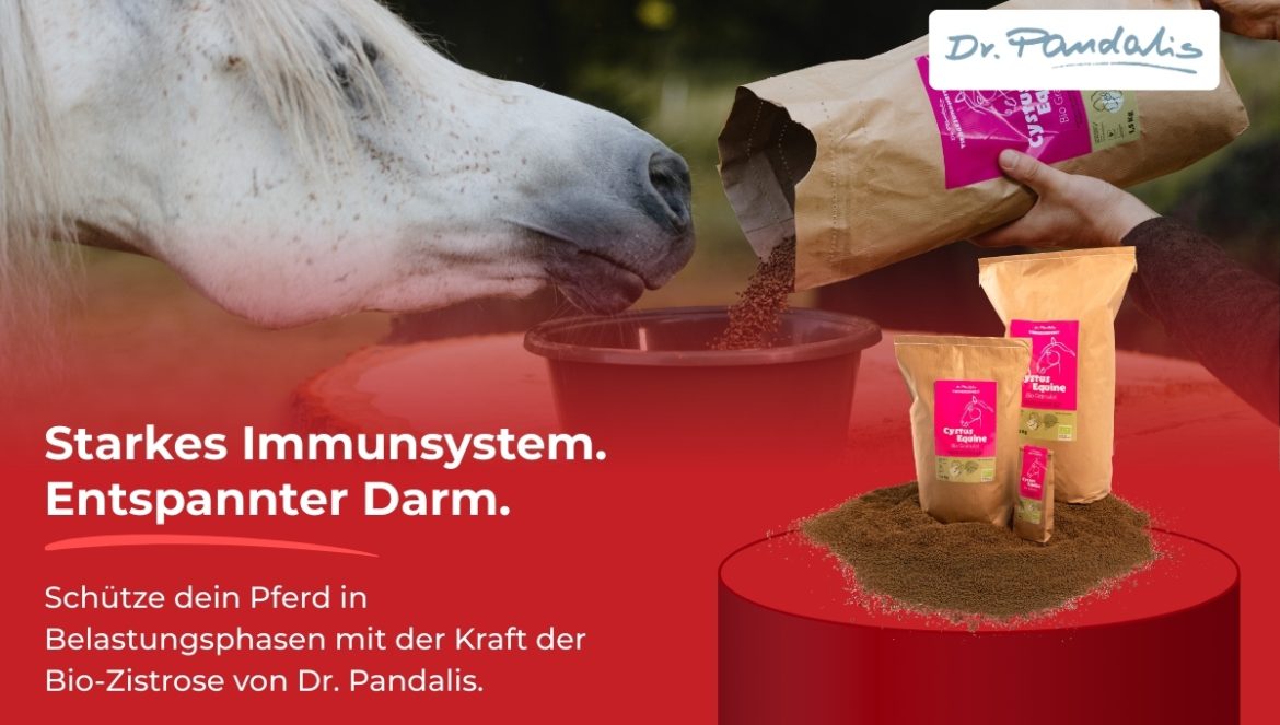 Produkt des Monats - CYSTUS EQUINE® I Dr. PANDALIS - Pferd schnüffelt an dem Futter, im Vordergrund sieht man das Produkt auf einem Podest hervorgehoben mit Logo