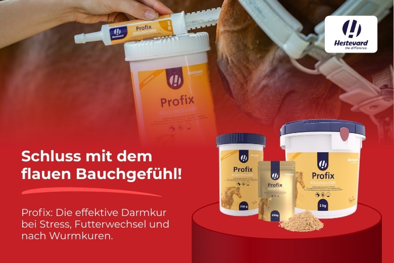 ehorses Produkt des Monats: 20% Rabatt auf Profix sichern