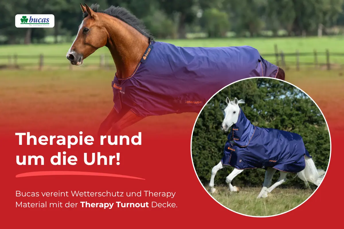 Produktgrafik von Bucas: Ein braunes Pferd auf einer Wiese trägt eine blaue Bucas-Therapiedecke. Darunter steht der Text „Therapie rund um die Uhr! Bucas vereint Wetterschutz und Therapy Material mit der Therapy Turnout Decke.“ In einem kreisförmigen Bildausschnitt ist zudem ein schimmelweißes Pferd zu sehen, das im Gallopp dieselbe Decke mit Halsteil trägt.