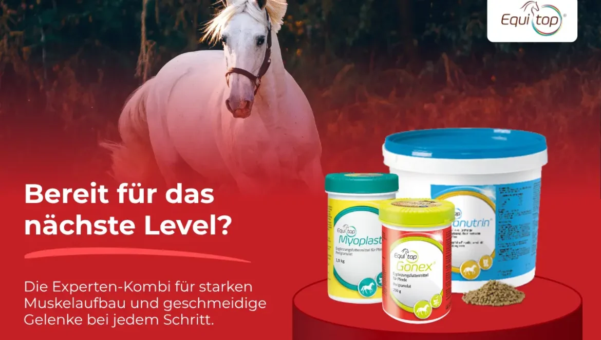 Produktempfehlung des Monats: Equi Top