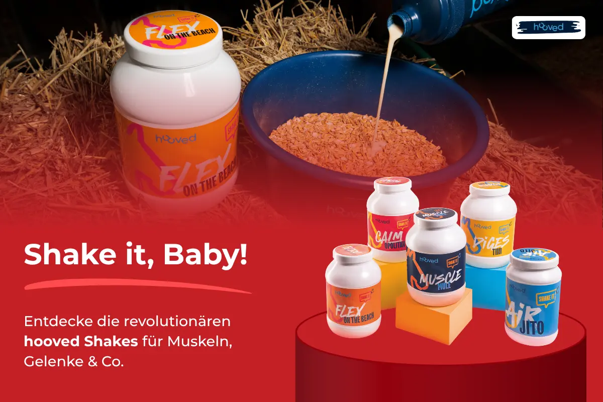 ehorses Produkt des Monats: Shakes von hooved