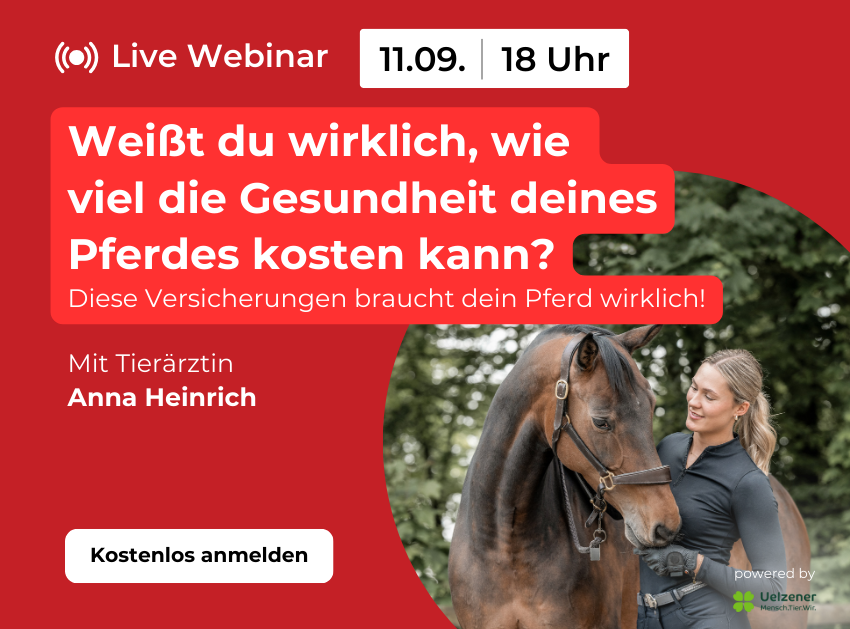 ehorses Webinar: Kostenfalle Kolik & Co. Jetzt abgesichert sein!