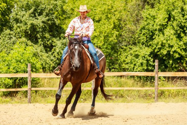 Westernreiten: Die verschiedenen Disziplinen