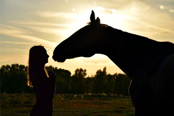 Frau und Pferd im Sonnenuntergang auf eine Wiese. 