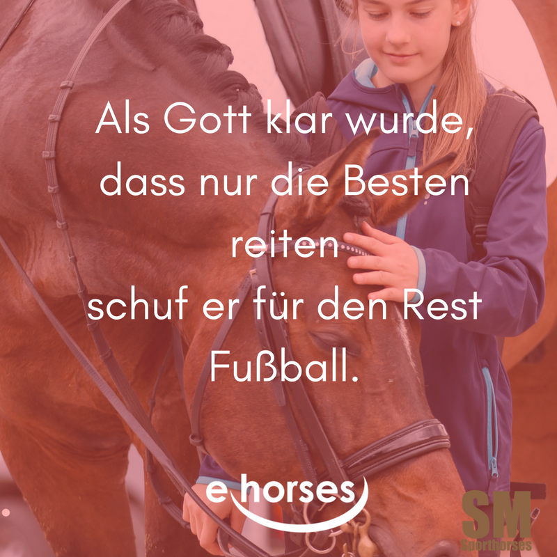 Beste Frei Wild Zitate Leben Zitate