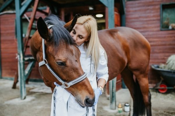 Allergien beim Pferd: Tierärztin mit Pferd