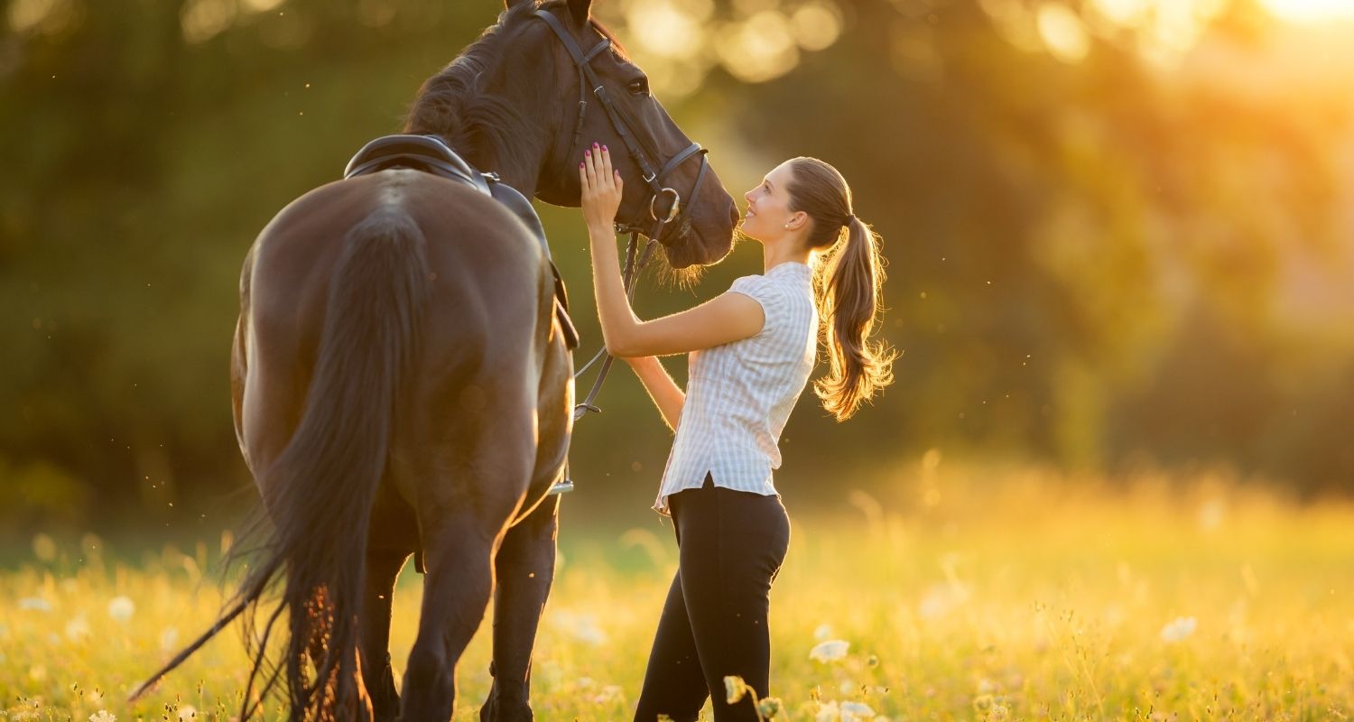 Arthrose beim Pferd – Symptome, Ursachen & Behandlung