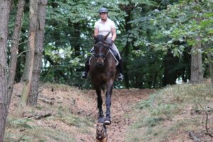 Training bei Sehnenschaden