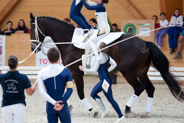 Voltigieren: Die richtige Ausrüstung für das Pferd