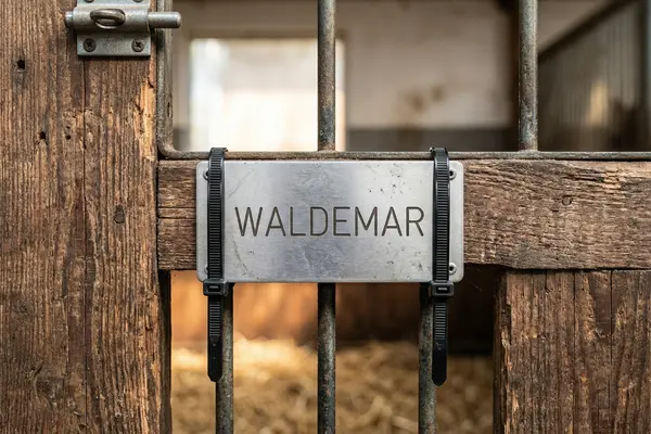 Nahaufnahme einer hölzernen Stalltür, an der ein Namensschild aus Metall befestigt wird. Man sieht deutlich, wie zwei schwarze Industrie-Kabelbinder durch die Ösen gezogen wurden, um das Schild fest an einem Gitterstab zu fixieren.