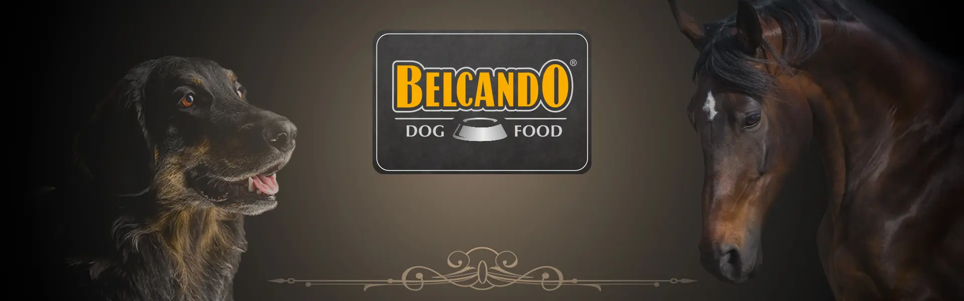 BELCANDO Stallkonzept