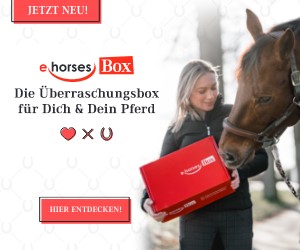 ehorses Trainingstagebuch