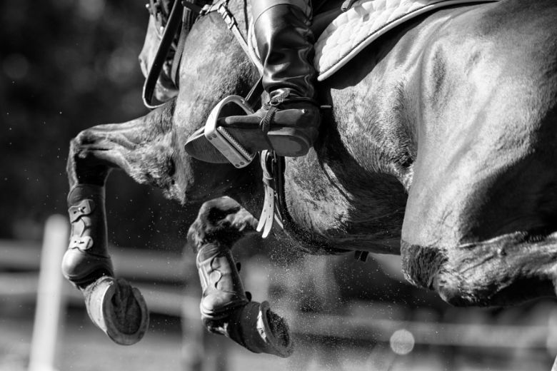 Blood Rule: Kippt die Regel? Pferd springt über Hindernis, Reiter trägt Sporen