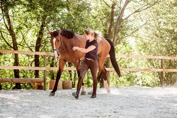 Bodenarbeit: Pferd und Frau beim führen