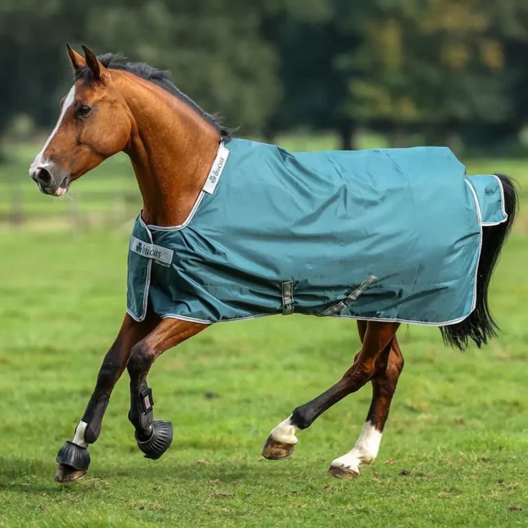 Braunes Pferd im Galopp auf einer grünen Wiese mit einer petrolfarbenen Bucas Atlantic Outdoordecke inklusive Halsteil und schwarzen Gamaschen sowie Hufglocken.