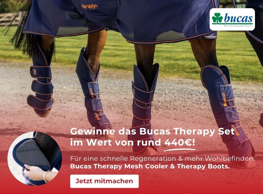 Bucas Gewinnspiel