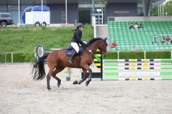 Eine Reiterin galoppiert auf einem braunen Pferd während eines Springturniers auf einem Sandplatz, im Hintergrund Tribünen und ein Hindernis mit sächsischem Wappen.