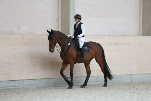 Eine lächelnde Reiterin reitet ein braunes Pferd in einer Halle mit hellen Holzwänden.