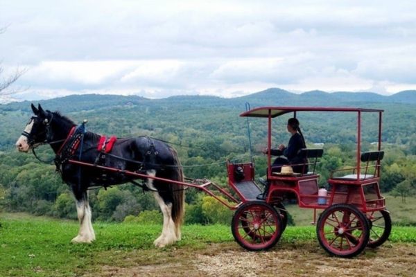 clydesdale-kutsche