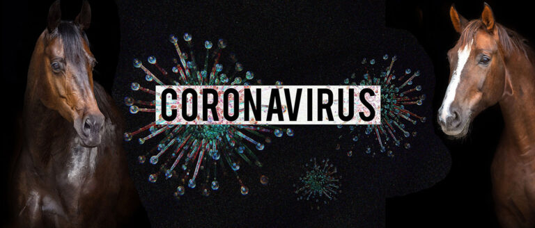 Coronavirus – Das müssen Pferdebesitzer jetzt wissen