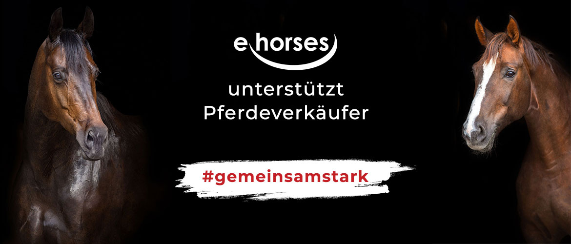 Wie ehorses Pferdeverkäufer unterstützt – Infos zur aktuellen Lage