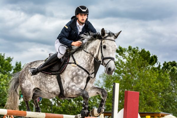 Springreiten: Ein Reiter mit seinem Pferd über dem Hindernis