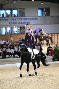 Erfahrungen mit navalis GastroCare