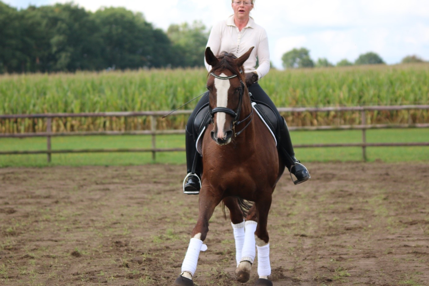 Reiterin auf Pferd reitet auf einem Reitplatz.