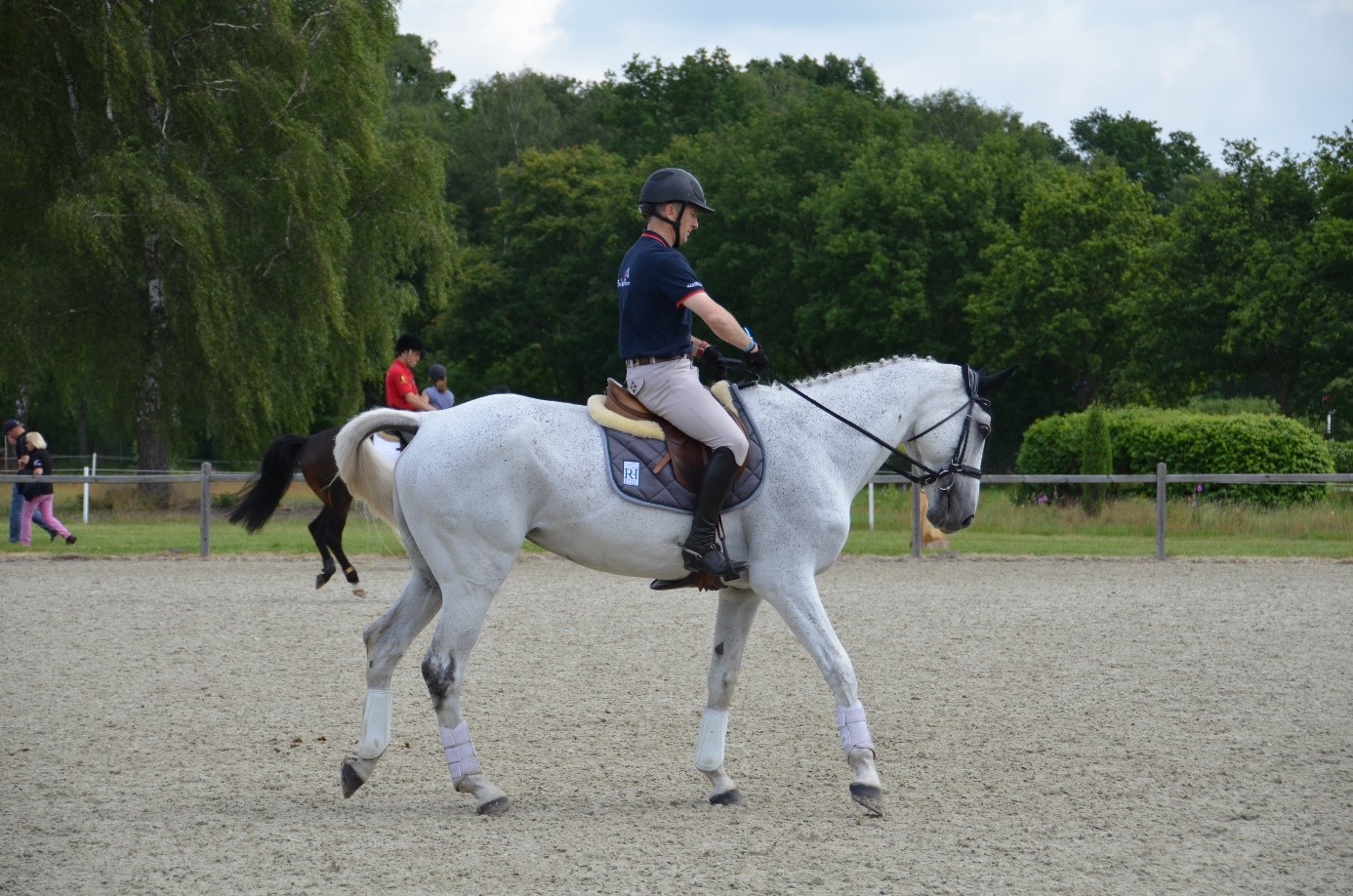 Reiter auf weißem Pferd reitet auf einem Reitplatz.