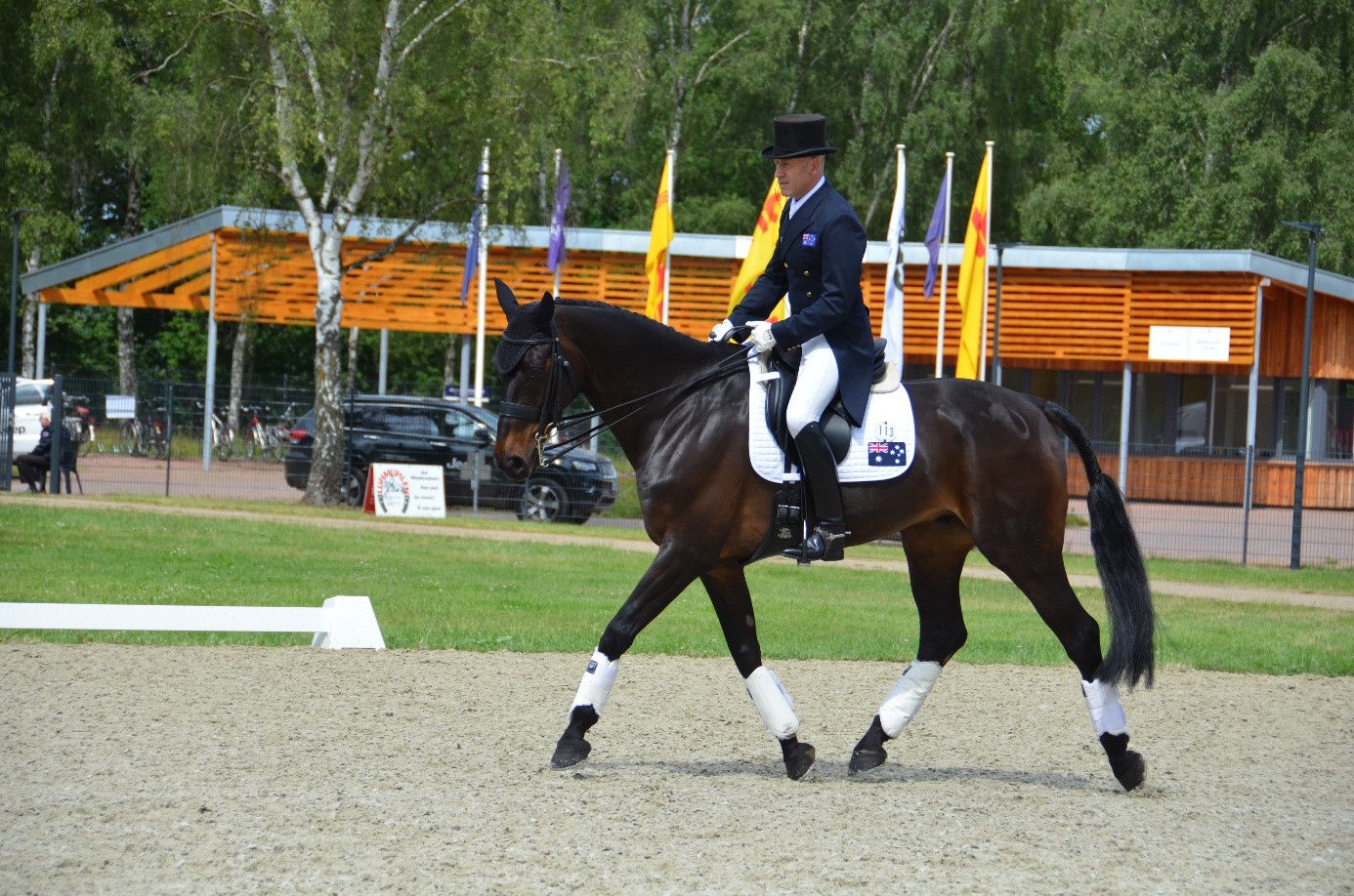 Durchlässigkeit beim Reiten: Wie bekomme ich mein Pferd durchlässig(er)?