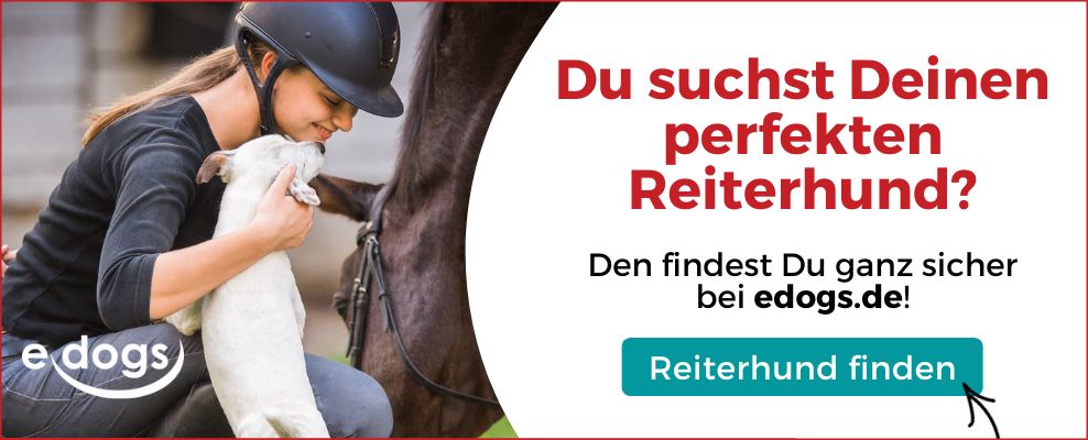 Hund frisst Pferdeöpfel: Finde Deinen Traumhund auf edogs.de
