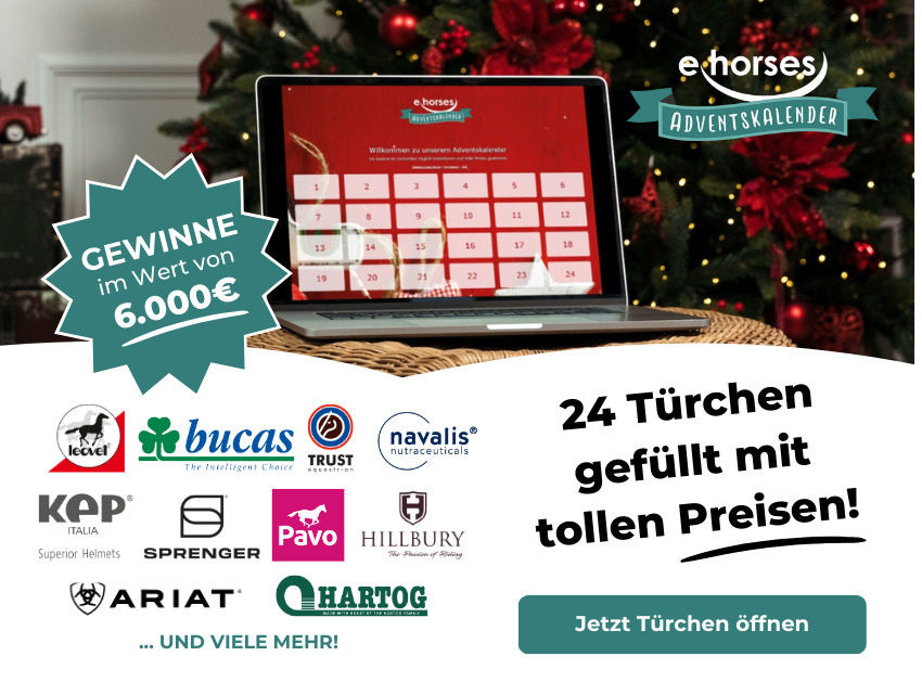 ehorses online adventskalender