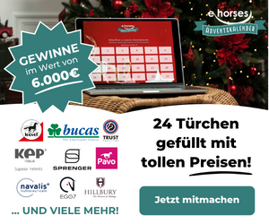 ehorses online Adventskalender
